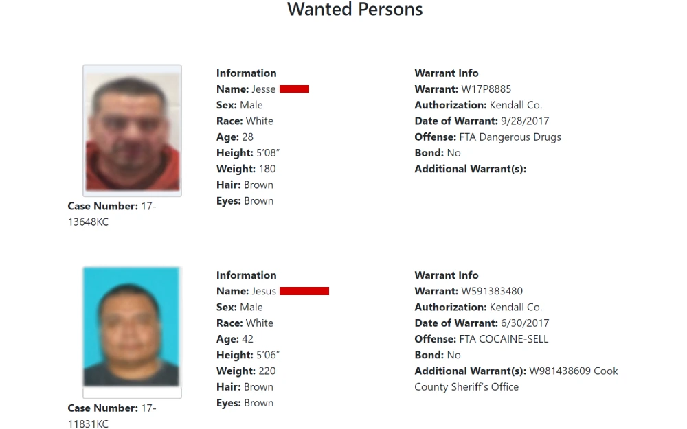A screenshot from the Illinois State Police featuring two men with details including their names, physical attributes, sex, race, age, height, weight, hair color, eye color, case numbers, and information about their warrants such as issue date, offense type, and bond status, from an unspecified law enforcement agency.
